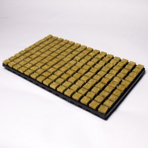150 Small Cubes Cultilene Rockwool in Tray  | Propagation | Rooting Gel, Scalpels & Substrates 