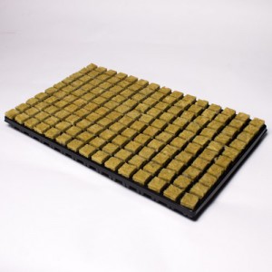 150 Small Cubes Cultilene Stonewool in Tray  | Propagation | Rooting Gel, Scalpels & Substrates 