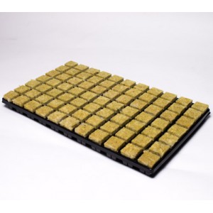 77 Large Cubes Cultilene Rockwool in Tray   | Propagation | Rooting Gel, Scalpels & Substrates 