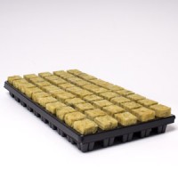50 Small Cubes Cultilene Stonewool in Tray | Propagation | Rooting Gel, Scalpels & Substrates 