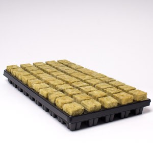 50 Small Cubes Cultilene Rockwool in Tray | Propagation | Rooting Gel, Scalpels & Substrates 