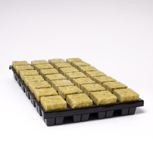 28 Large Cubes Cultilene Rockwool in Tray  | Propagation | Rooting Gel, Scalpels & Substrates 