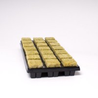 21 Large Cubes Cultilene Rockwool in Tray | Propagation | Rooting Gel, Scalpels & Substrates 