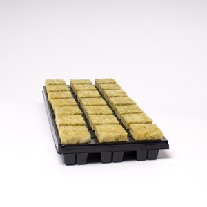 21 Large Cubes Cultilene Stonewool in Tray | Propagation | Rooting Gel, Scalpels & Substrates 