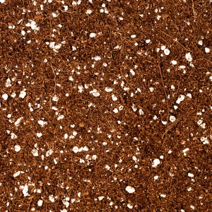  Way to Grow Coco Perlite 70/30 50L  | Mediums | Coco Coir Mediums | Home