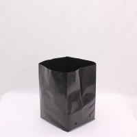 PB 12 x 100  bags (6.5L)  | Pots, Trays & Planter Bags  | Planter Bags