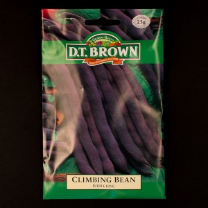 Climbing Bean - Purple King | Seeds | D.T. Brown Vegetable Seeds | Watkins Vegetable Seeds