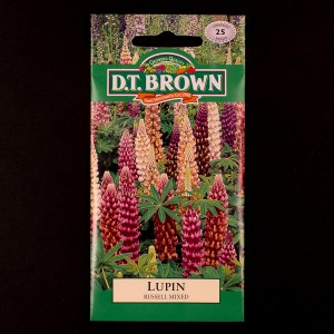 Lupin - Russell Mixed | Seeds | Watkins Flower Seeds