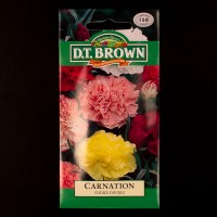Carnation - Choice Double | Seeds | D.T. Brown Flower Seeds