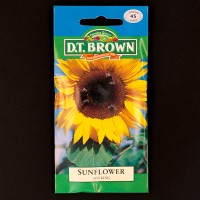 Sunflower - Sun King | Seeds | Watkins Flower Seeds