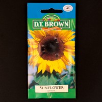 Sunflower - Sun King | Seeds | Watkins Flower Seeds