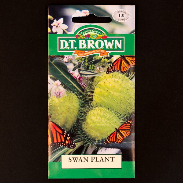 Swan Plant Seeds Watkins Flower Seeds Easy Grow Ltd