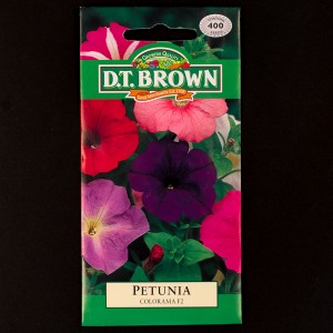 Petunia - Colorama F2 | Seeds | Watkins Flower Seeds