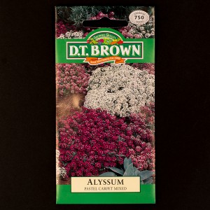 Alyssum - Pastel Carpet Mixed | Seeds | D.T. Brown Flower Seeds