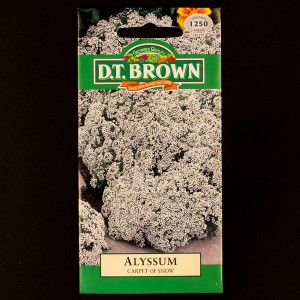 Alyssum - Carpet of Snow | Seeds | D.T. Brown Flower Seeds