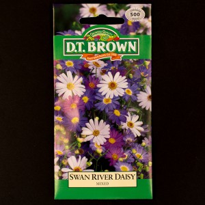 Swan River Daisy - Mixed | Seeds | Watkins Flower Seeds | D.T. Brown Flower Seeds