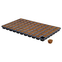 Eazy Plug Tray 77