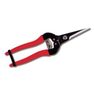 ARS Secateurs | Plant Care