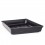 Punnet Tray Solid Base