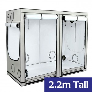 HomeBox R240+ (Tall) Ambient Tent | Grow Tents | HOMEbox Ambient Tents