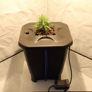 Oxypot Deep Water Culture System 19L | Hydroponic Systems 