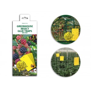 Greenhouse Insect Yellow Sticky Glue trap 5pc | Pest Control