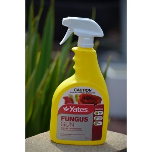 Yates Fungus Gun  | Insecticides & Fungicides 