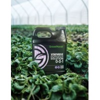 Green Planet Vitathrive 1L | Green Planet Additives | Propagation | Rooting Gel, Scalpels & Substrates 