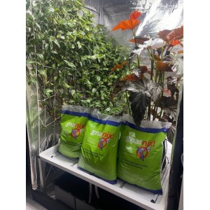 Gnat Nix 10L | New Products | Pest Control | Soil Borne Pests and Disease | Mediums | Soil Fertiliser & amendments | Specials