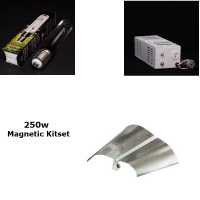 250 Watt EP H.P.S Kitset | Lighting Kits | 250 Watt | All HPS Kits | H.P.S. Digital Lighting Kits