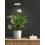 Halolight Indoor Grow lamp LED 5W