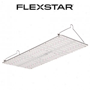 Flexstar 240W LED Grow Board | LED Grow Lights | Flexstar LED | New Products | Home