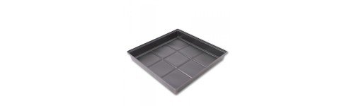 Large Trays