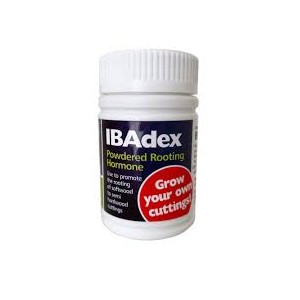 IBAdex Cloning Powder 25g | Propagation | Rooting Gel, Scalpels & Substrates 