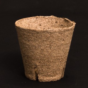 Jiffy Peat Pot 8cm | Propagation | Pots, Trays & Planter Bags  | Pots | Rooting Gel, Scalpels & Substrates 