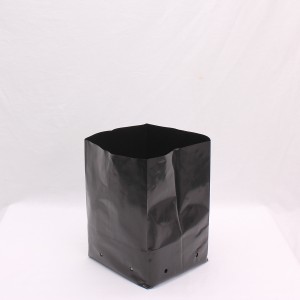 PB 12 x 10  bags (6.5L) | Pots, Trays & Planter Bags  | Planter Bags