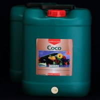 Canna Coco Feed A+B 40L (2x20L) | Nutrients | Canna Products | Coco Nutrients  | Canna Nutrients